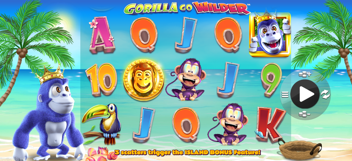 Imagen de Gorilla Go Wilder